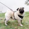 Dog Tie Out Cable Long Dog Leash Chew Proof Lead Dog Chain with Durable Spring 360Â° Rotatable Clips PVC Case for Outside Yard Caming